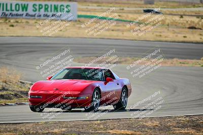 media/Mar-22-2025-West Coast Racing (Sat) [[0d49b412c8]]/Yellow Group/Session 1 (Turn 4-Exterior)/